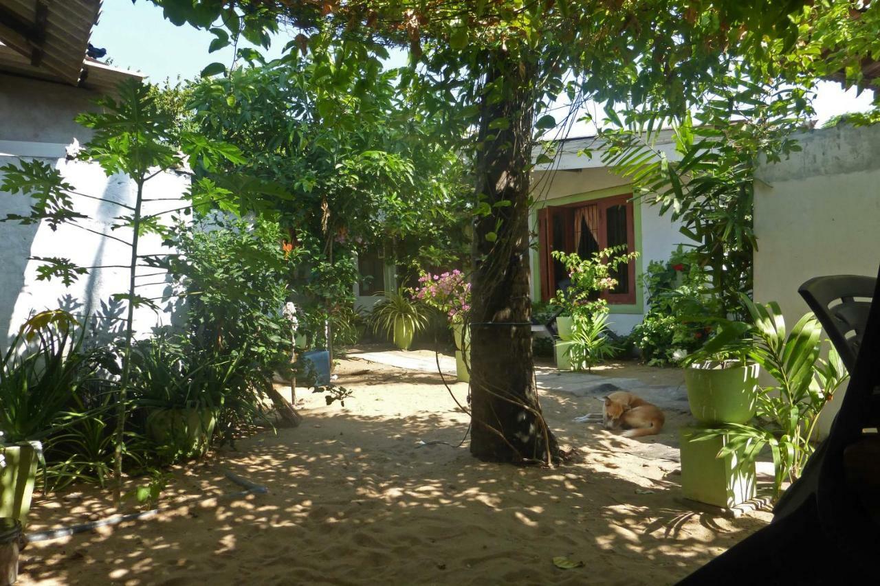 Grace Homestay Negombo Extérieur photo